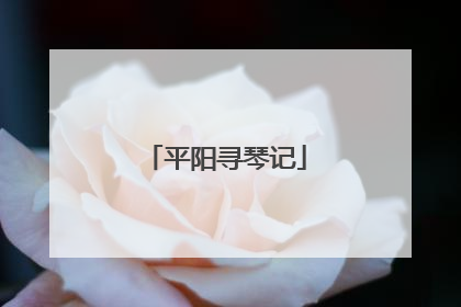 平阳寻琴记