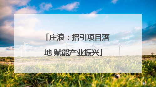庄浪：招引项目落地 赋能产业振兴