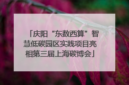 庆阳“东数西算”智慧低碳园区实践项目亮相第三届上海碳博会