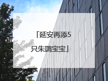 延安再添5只朱鹮宝宝