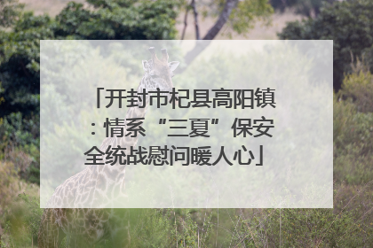 开封市杞县高阳镇：情系“三夏”保安全统战慰问暖人心