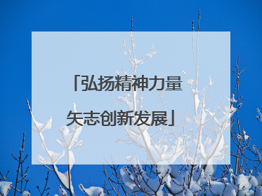 弘扬精神力量 矢志创新发展
