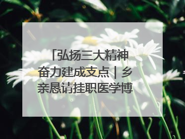 弘扬三大精神 奋力建成支点｜乡亲恳请挂职医学博士再留一年