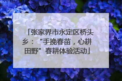 张家界市永定区桥头乡：“手挽春苗，心耕田野”春耕体验活动