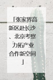 张家界高新区赴长沙、北京考察 力拓产业合作新空间