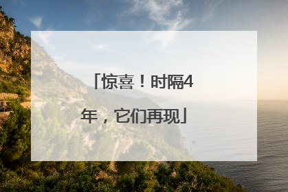 惊喜！时隔4年，它们再现