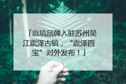 意境品牌入驻苏州吴江震泽古镇，“震泽四宝”对外发布！
