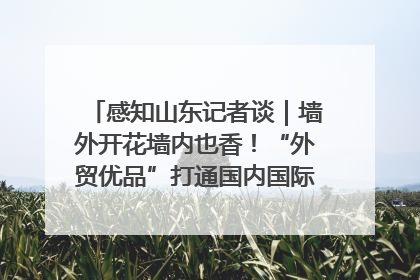 感知山东记者谈｜墙外开花墙内也香！“外贸优品”打通国内国际市场“旋转门”