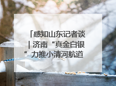 感知山东记者谈｜济南“真金白银”力推小清河航道 黄金水道激活区域经济新动能