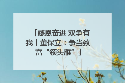 感恩奋进 双争有我丨董保立：争当致富“领头雁”