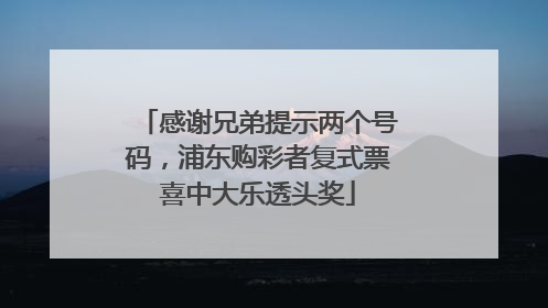 感谢兄弟提示两个号码，浦东购彩者复式票喜中大乐透头奖