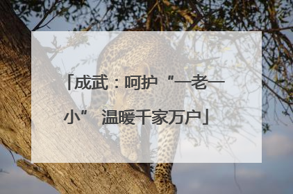 成武：呵护“一老一小” 温暖千家万户