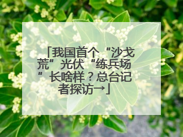 我国首个“沙戈荒”光伏“练兵场”长啥样？总台记者探访→