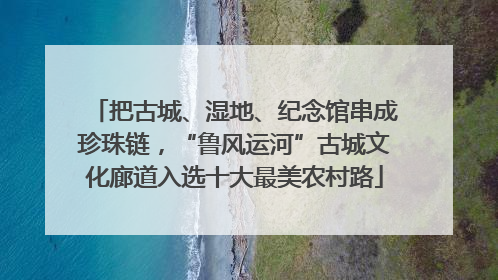 把古城、湿地、纪念馆串成珍珠链，“鲁风运河”古城文化廊道入选十大最美农村路