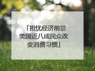 担忧经济前景 美国近八成民众改变消费习惯