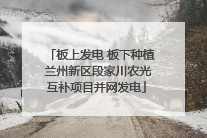 板上发电 板下种植 兰州新区段家川农光互补项目并网发电