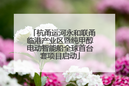 杭甬运河永和联甬临港产业区暨纯甲醇电动智能船全球首台套项目启动