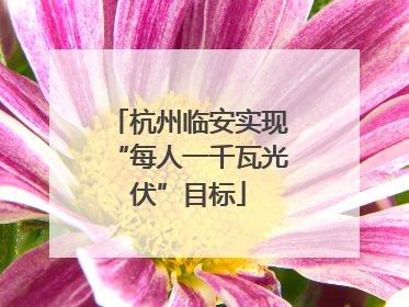 杭州临安实现“每人一千瓦光伏”目标