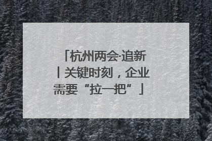 杭州两会·追新丨关键时刻，企业需要“拉一把”