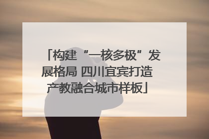 构建“一核多极”发展格局 四川宜宾打造产教融合城市样板