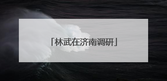 林武在济南调研