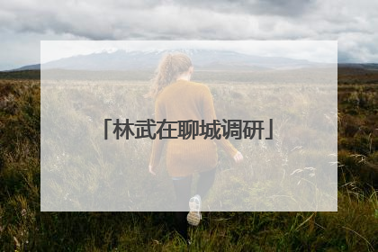 林武在聊城调研