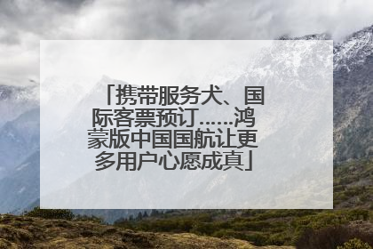 携带服务犬、国际客票预订……鸿蒙版中国国航让更多用户心愿成真