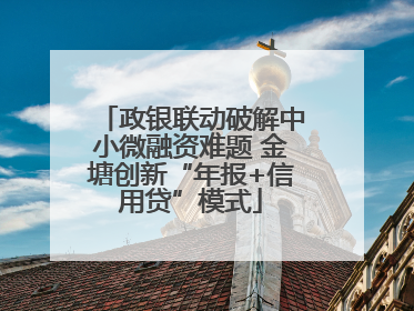 政银联动破解中小微融资难题 金塘创新“年报+信用贷”模式