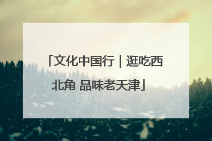 文化中国行｜逛吃西北角 品味老天津