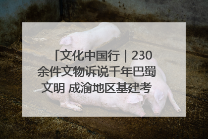 文化中国行｜230余件文物诉说千年巴蜀文明 成渝地区基建考古成果展开展