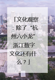 文化观察：除了“杭州六小龙” 浙江数字文化还有什么？