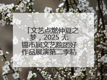 文艺点燃仲夏之梦，2025 无锡市属文艺院团好作品展演第二季精彩上演