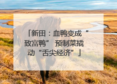 新田：血鸭变成“致富鸭” 预制菜撬动“舌尖经济”