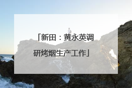 新田：黄永英调研烤烟生产工作