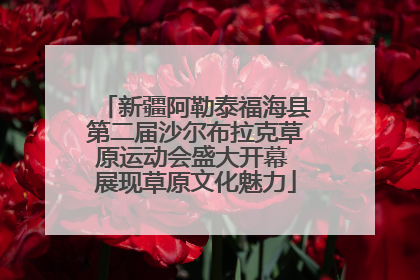 新疆阿勒泰福海县第二届沙尔布拉克草原运动会盛大开幕 展现草原文化魅力