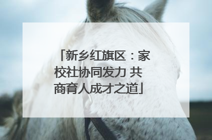 新乡红旗区：家校社协同发力 共商育人成才之道