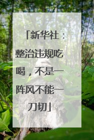 新华社：整治违规吃喝，不是一阵风不能一刀切