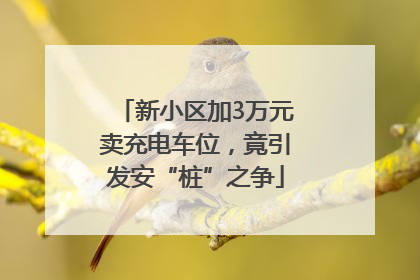 新小区加3万元卖充电车位，竟引发安“桩”之争