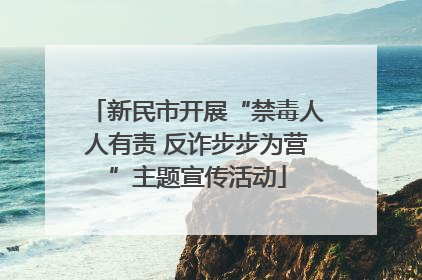 新民市开展“禁毒人人有责 反诈步步为营”主题宣传活动
