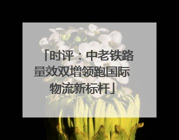 时评：中老铁路量效双增领跑国际物流新标杆