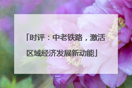 时评：中老铁路，激活区域经济发展新动能