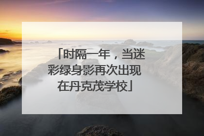 时隔一年，当迷彩绿身影再次出现在丹克茂学校