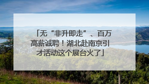无“非升即走”、百万高薪诚聘！湖北赴南京引才活动这个展台火了