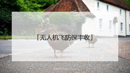 无人机飞防保丰收