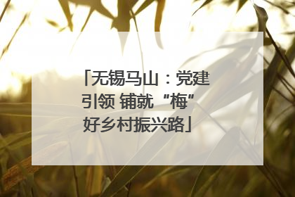 无锡马山：党建引领 铺就“梅”好乡村振兴路