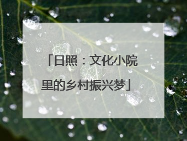日照：文化小院里的乡村振兴梦