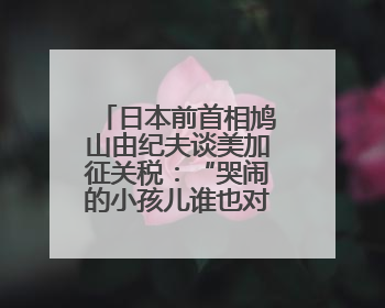 日本前首相鸠山由纪夫谈美加征关税：“哭闹的小孩儿谁也对付不了”