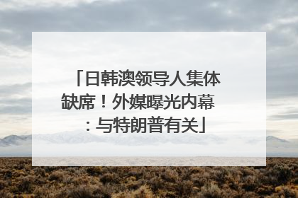 日韩澳领导人集体缺席！外媒曝光内幕：与特朗普有关