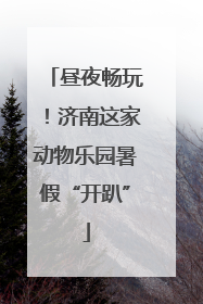 昼夜畅玩！济南这家动物乐园暑假“开趴”