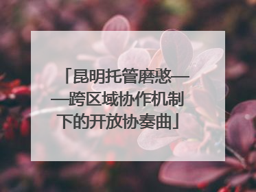 昆明托管磨憨——跨区域协作机制下的开放协奏曲